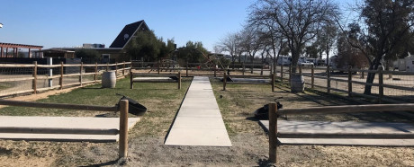 Individual Tent Site, No Hookup, Sand Tent Pad